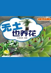 进击，矮人的战争