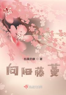 九州行旅传