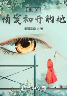 剑城拾页小说系列