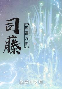 仙子别追了