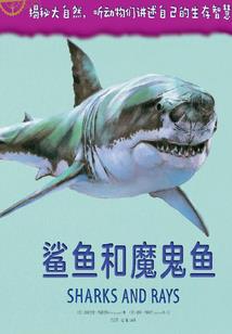 明日战纪