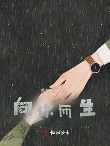 鹤城记