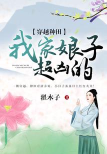 翼舞天穹