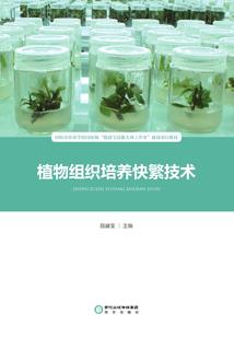 最后岁月酿成酒