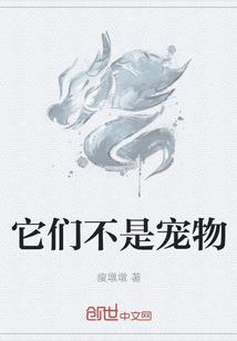 再见灌篮高手