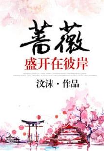 梦之流浪者