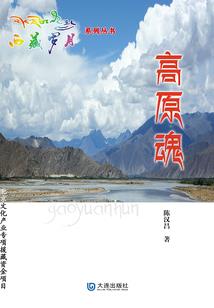 鸾菲传