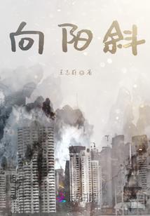 80后的奋斗史诗