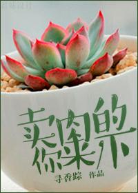 天道奉行