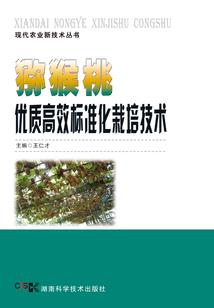光与影的史诗