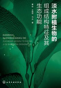 另类小娇妻