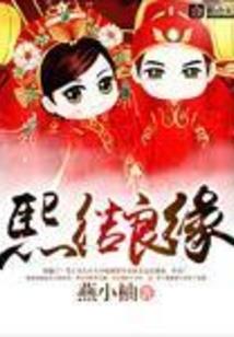 神雕侠侣之武家兄弟